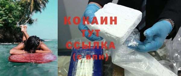 МДПВ Снежногорск
