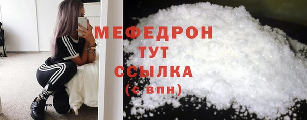 МДПВ Снежногорск