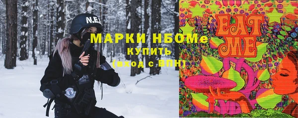 МДПВ Снежногорск