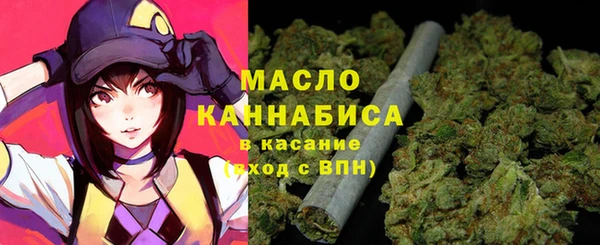 МДПВ Снежногорск
