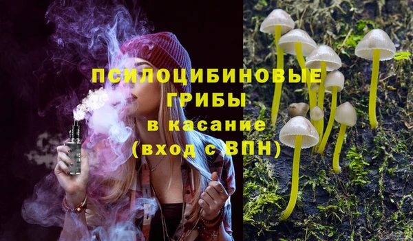 МДПВ Снежногорск