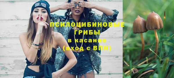 МДПВ Снежногорск