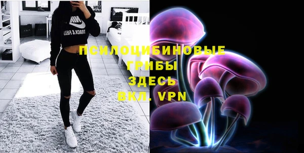 дурь Слюдянка