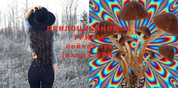 амф Снежинск