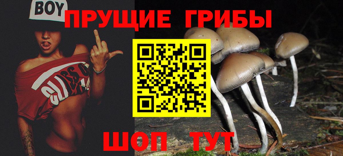 Галлюциногенные грибы Magic Shrooms  Вход с VPN  Волгоград  Псилоцибиновые грибы мухоморы 